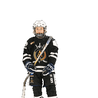 alfahockey хоккей хоккеист альфа хоккейспб Sticker