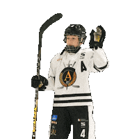 alfahockey хоккей хоккеист альфа хоккейспб Sticker