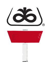 PioneerSemillas pioneer semillas pioneer argentina hechoparacrecer Sticker