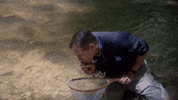 Summer Fish GIF by The Weather Channel