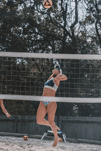 Volleyball Swing GIF by TIY PRODUCTS