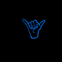 Holoholo GIF by POSH PUA