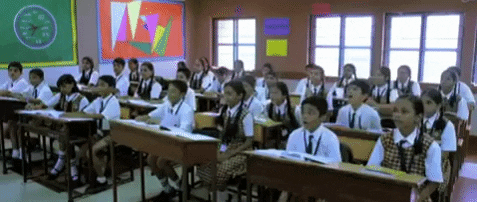 platanohaybrand giphygifmaker pay attention mosca oido GIF