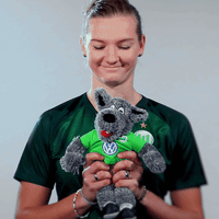 World Cup Football GIF by VfL Wolfsburg