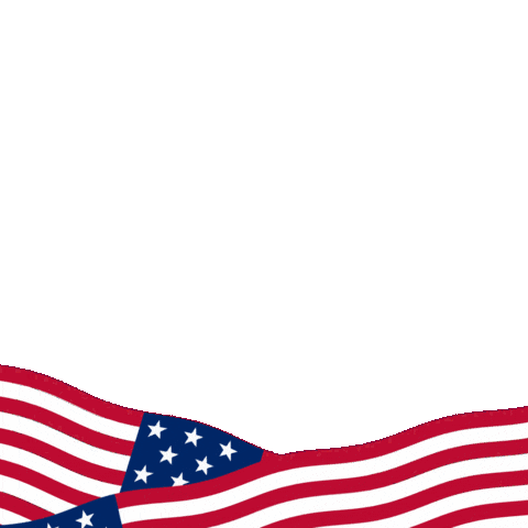 Happy 4Th Of July Sticker by BigBrains