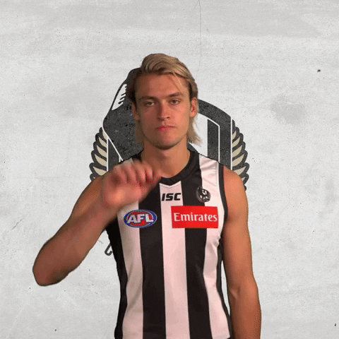 collingwoodfc giphyupload pies collingwood magpies GIF