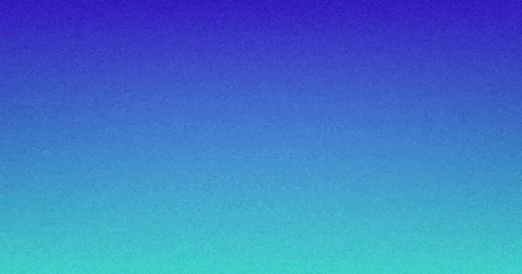 GIF by Moringa