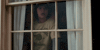 GIF by Giphy QA