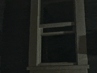 Animation GIF