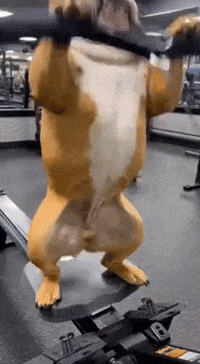 Flexing Work Out GIF
