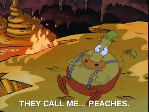 rockos modern life nicksplat GIF