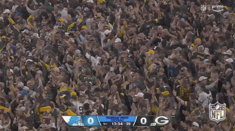 National Football League GIF by NFL