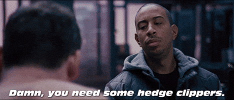 Hedge Clippers