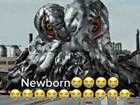 Son Godzilla GIF