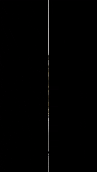 Ams Grips GIF by allmountainstyle