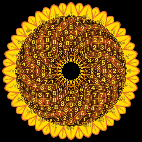 marksimsdad0 giphyupload sunflower fibonacci sacredgeometry GIF
