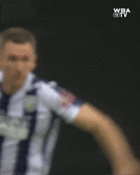 West Brom Wallace GIF by West Bromwich Albion
