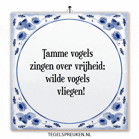 Humor Nl GIF by Tegelspreuken.nl