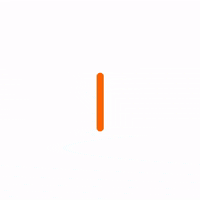TeamlifeAnimalife i love my horse GIF