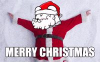 Merry Christmas Nft GIF by SuperRareBears