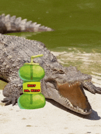 Kelp Krew Crocodile GIF