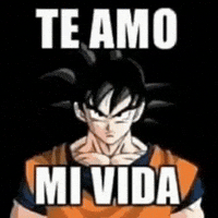 Te Amo Mi Vida GIF