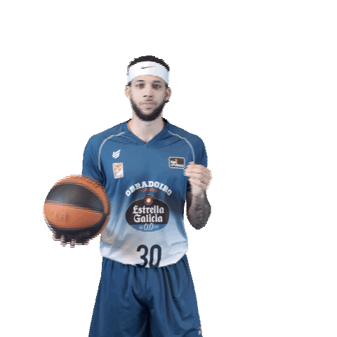 Liga Endesa Basketball Sticker by ACB