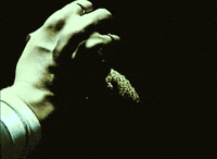 Waysides GIF by Bedouine
