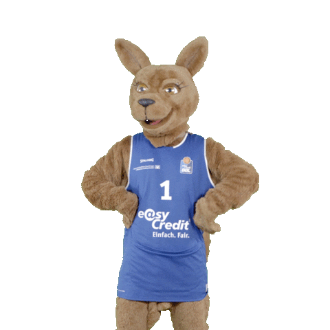 social-media-easycredit giphyupload basketball ohno easycredit Sticker