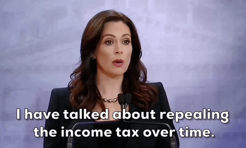 Income Tax Michigan GIF by GIPHY News