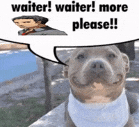 Persona 4 Please GIF