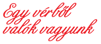 Dunaszerdahely Sticker by FC DAC 1904