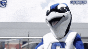 gojays head mascot scratch billy GIF