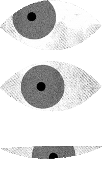 Illustration Watching Sticker by Kasper Werther