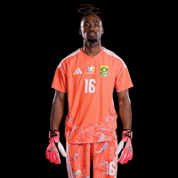 South Africa Concacaf GIF by Respective
