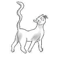 Cat Kitty Sticker