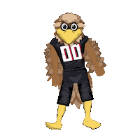 Atlanta Falcons Dance Sticker by Wells Fargo
