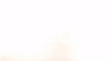 Celebration Goal GIF by FC Red Bull Salzburg