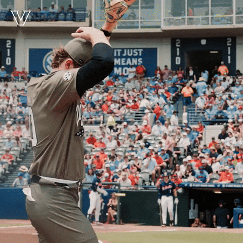 Sport Celebrate GIF by Vanderbilt Athletics