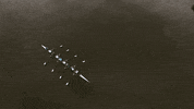 football soccer GIF by Bundesliga