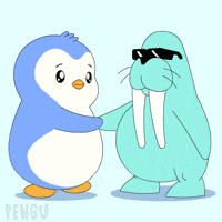 Team Penguin GIF by Pudgy Penguins
