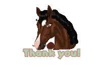 Horse Thank You Sticker