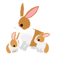 Rabbit うさぎ Sticker