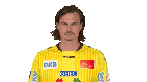 Handball-Bundesliga Fun Sticker by LIQUI MOLY HBL