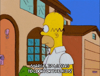 homer simpson GIF