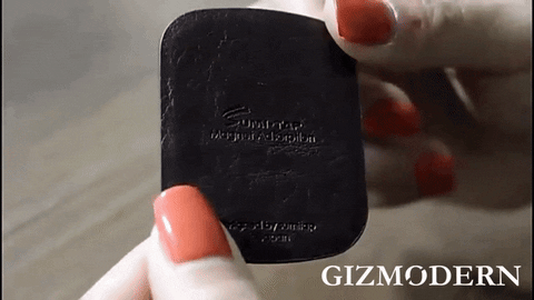 GizModern giphyupload GIF