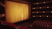 theater ballerina GIF by New York City Ballet
