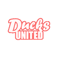 Ducks_United fun cool summer car Sticker