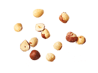 Quaker Sticker by IMA - Influencer Marketing Agency