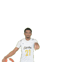 Mens Basketball Sticker by Clarke University